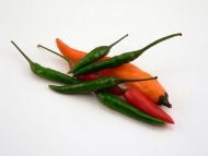 Growing Chillies